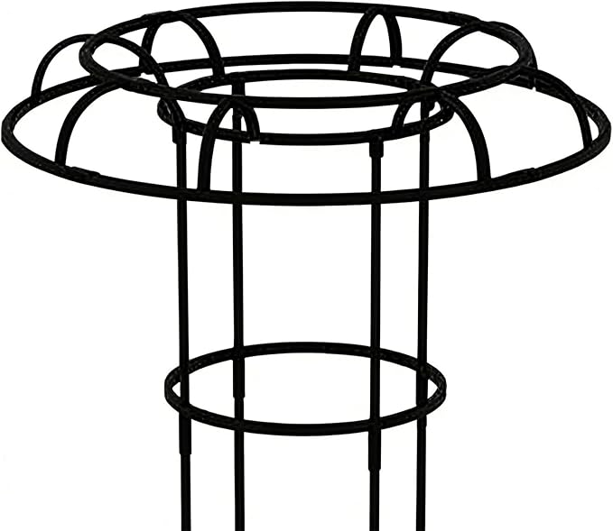 Umbrella Plant Support - Outdoor Vertical Frame for Climbing Vegetation | Weather Resistant Structure Elegant Garden Accent Stable Ground Holder &amp Compact Growing Aid for Pea Bean Tomato Clemati