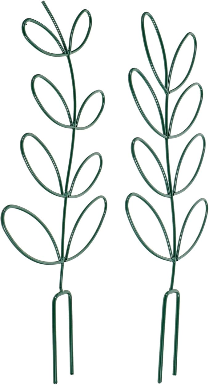 2pcs Metal Plant Climbing Frame Trellis for Garden Vegetables and Flowers Green Iron Tomato Cages Plant Support Rack for Indoor and Outdoor Gardening