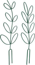 2pcs Metal Plant Trellis for Climbing Plants Indoor and Outdoor Garden Support Rack Green Iron Tomato Cage for Potted Flowers and Vine Crops