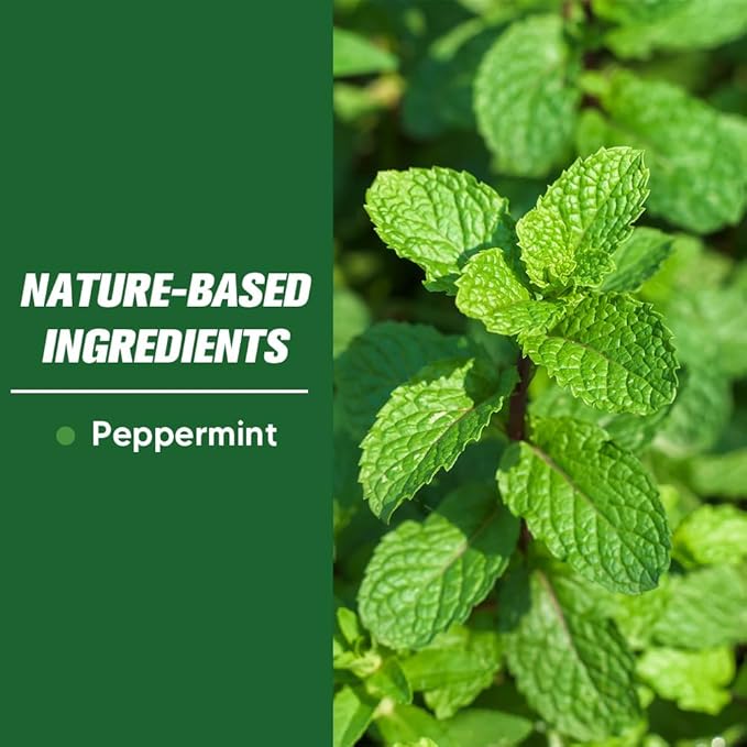 Pest Control Mice Repellent Indoor Mouse Repellant Pouches Rodent Repellent Peppermint to Repel Ant Roach &amp Spider Rat Deterrent for House Keep Mice Away Safe and Easy to Use-8P