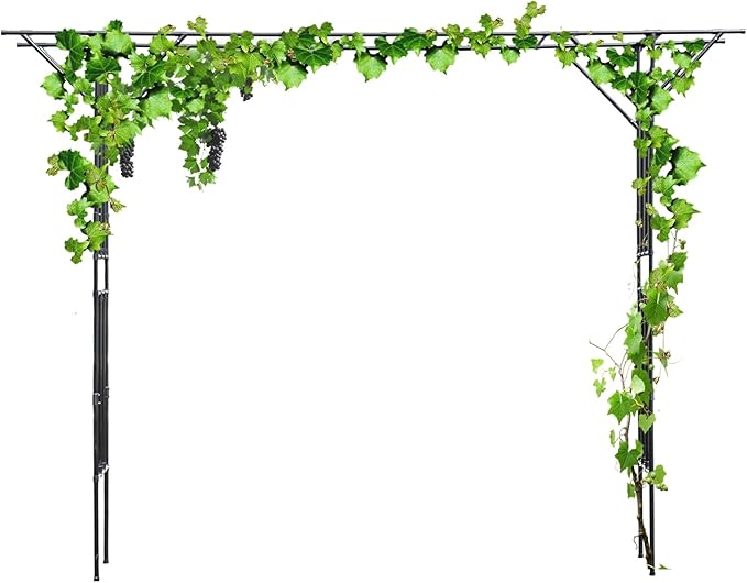 11.81FT Outdoor Garden Trellis for Climbing Plants Heavy Duty Steel Pipe Garden Arch Large Plant Support for Grapes Cucumbers Flowers Wedding Arch Patio Lawn Backyard(Black)