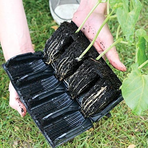 Deep Rootrainers Kit - Seed and Cutting Propagation Kit (32 Cell 5 inches deep)