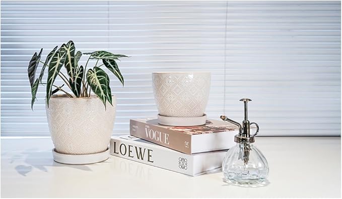 Docrin Ceramic Plant Pots Indoor 6.6 + 5.5 Inch Planters with Drainage Holes and Saucer for Home/Office - Set of 2 /White