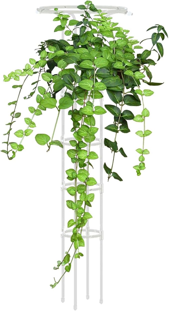 Indoor Plant Trellis - Single Umbrella-Shaped Indoor Trellis - 72.8in Garden Trellis for Climbing Plants Plant Trellis Flower Support Climbing Trellis Support Stake for Garden