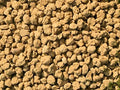 Japanese Triple Red Line Heat Treated Fired Akadama for Cactus &amp Succulent Bonsai Tree Soil Mix - 14 Liter (Large Grain/Bag)