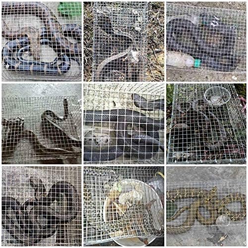 Large Dual Entrance Humane Snake Trap - Catches and Release All Kinds of Snakes - Reusable!