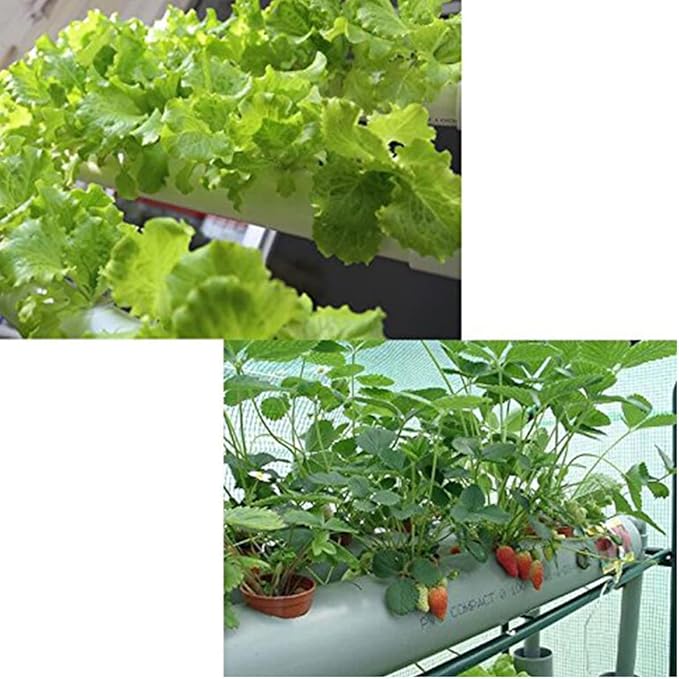 54 Holes Hydroponic Piping Grow Kit Planting Tools Gardening System Nursery Pot Hydroponic Soilless Plant Growing Systems Vegetable Planting Grow Kit Rack