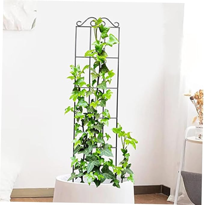 GLEAVI 4pcs Metal Plant Support Stakes Climbing Plant Frame Garden Trellis for Vines and Flowers 50x15cm Black Indoor Outdoor Vegetable Climbing Rack