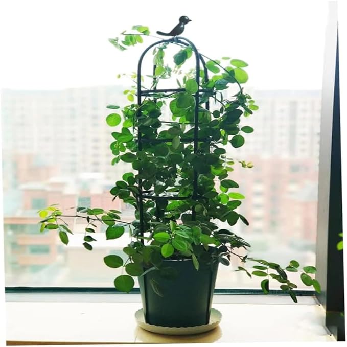 Garden Obelisk TrellisGarden Trellis Potted PlantsPlant Vine Support Potted Climbing Flower Vegetable Vine Indoor OutdoorPotted Plants (Size : 20 * 120cm/0.7 * 3.9ft)