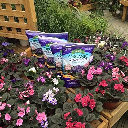 Espoma African Violet Potting Mix Natural &amp Organic Premium Soil 4 qt Pack of 12