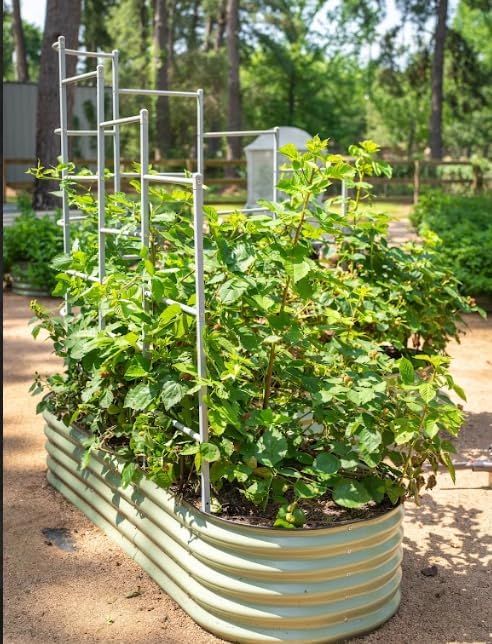 Vego Garden Modular Wall Trellis System 5.5' Long for 5.5' x 5.5' Standard Size L-Shaped Garden Beds (Garden Beds Not Included)