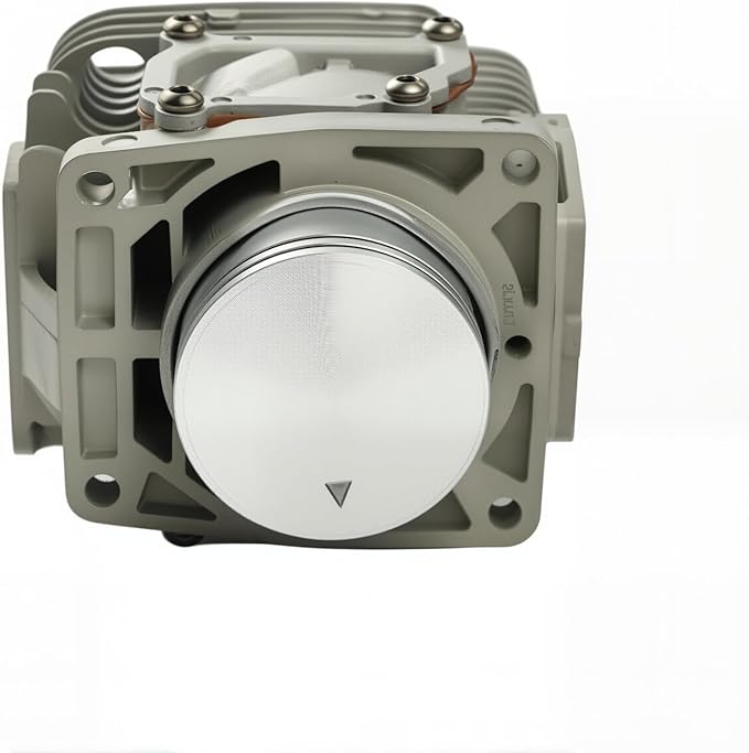 P100006300 Cylinder Piston Kit for Echo PB-8010 PB-8010T PB-8010H PB-9010 PB-9010T PB-9010H Shindaiwa EB810 EB810RT EB910 EB910RT Leaf Blowers Replace P100012460 P100008020 P10000802