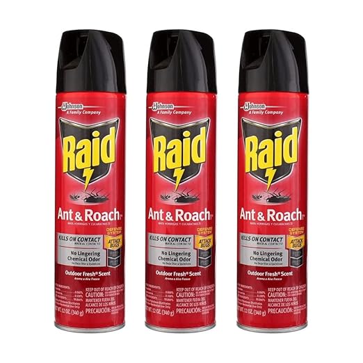 Raid Ant and Roach Kills on Contact No Lingering Chemical Odor Outdoor Fresh Scent 12 Oz (Pack of 3)