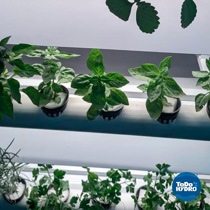 Hydroponic Kit N9 NFT System for 32 Plants Complete Indoor Garden with Nutrients Seeds &amp Accessories
