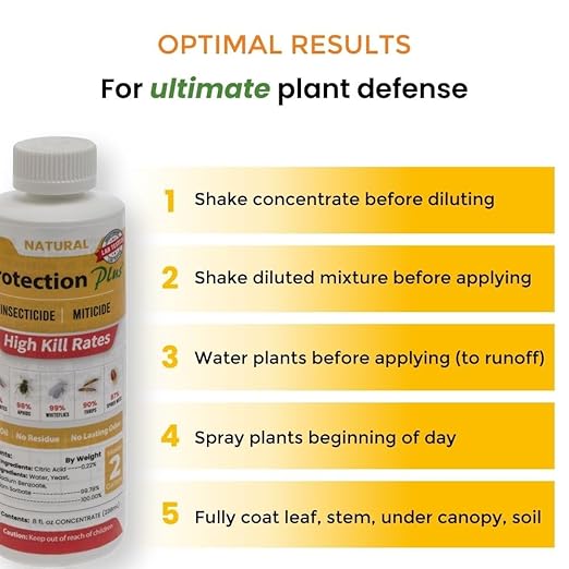 Environmental Plant Management Protection Plus Concentrate | Oil-Free Contact Insecticide for Plants | Kills Aphids Whiteflies Spider Mites &amp Other Soft-Bodied Pests | Natural | Indoor &amp Out
