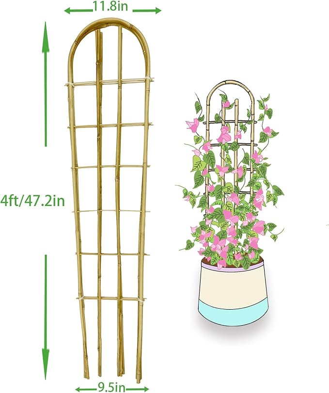 Bamboo TrellisU-Shape Bamboo Trellis4Feet3packfor Climbing Plants Outdoor BambooforClimbing PlantsTomato VegetablesFlowers Beans CucumberIndoor Potted Climb Plants