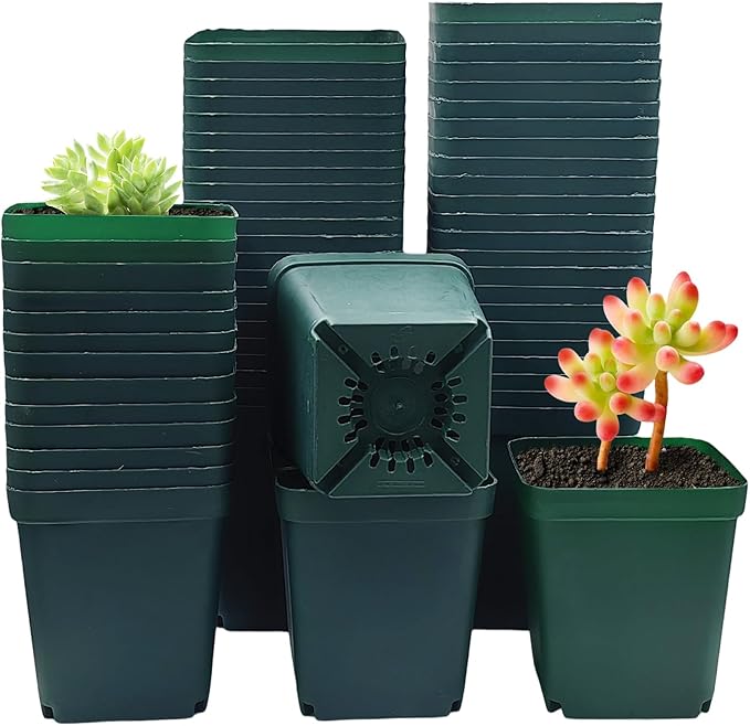 Square Nursery Succulent Pots 4 Inches 60 Pcs Deep Flower Plant Nursery Seedling Grow Pots Plastic with Drainage (Green 4Inches 60Pcs)