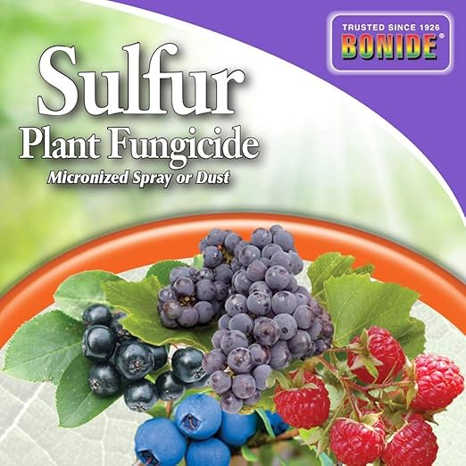 BONIDE Products INC 142 Sulfur Plant Fungicide Organically Controls Rust Leaf Spot and Powdery Mildew 4 lbs (2)