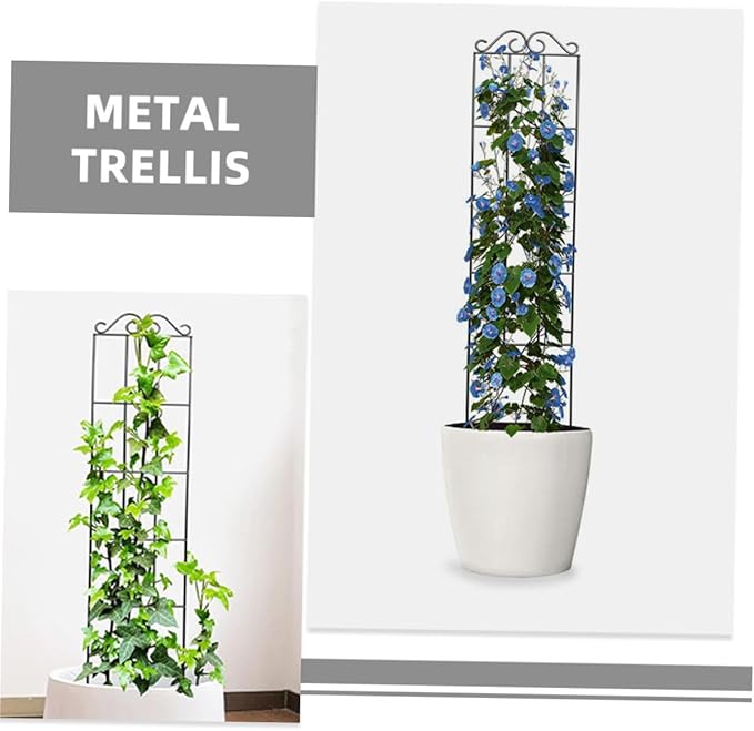 DOITOOL 4pcs Black Metal Climbing Plant Frame Trellis Garden Support for Potted Vines and Flowers 50x15cm Climbing Rack for Indoor and Outdoor Plant Growth
