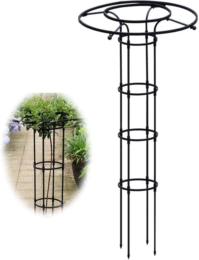 RADAAB Garden Trellis for Climbing Plants and Flowers Outdoor3/4/5/5.9/6.9 feet TallVertical Umbrella Plant Support Stakes Obelisk Trellis for VegetablesFruitsVines Rose (Size : 120cm/4ft)