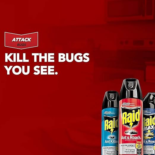Raid Ant and Roach Killer 17.5 Ounce (Pack of 4)
