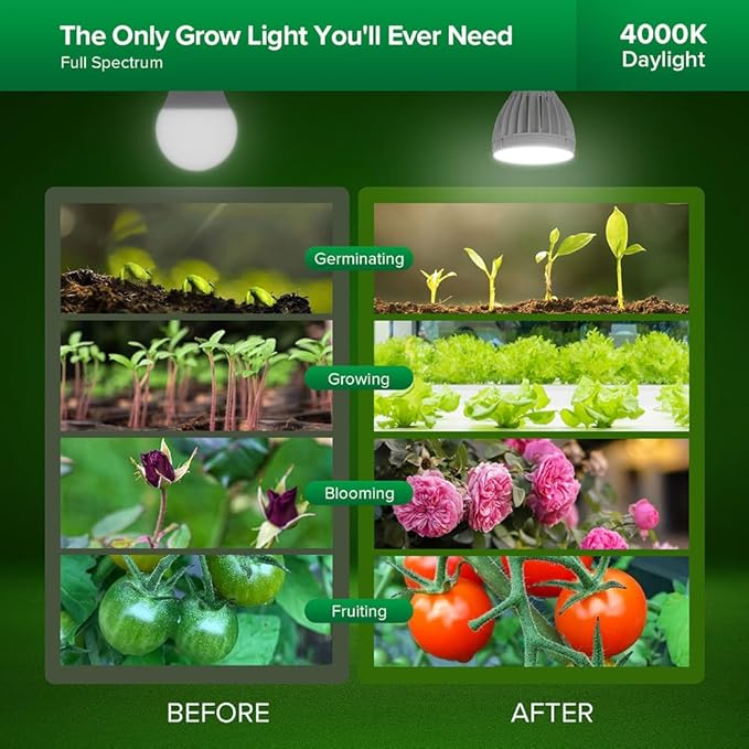 SANSI Grow Lights for Indoor Plants 128W Full Spectrum Plant Lights for Indoor Growing 35-64 inches Detachable Tripod Standing Grow Light with High PPFD No Dimmable 4 Pack of Par25 32W Bulb