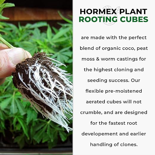 Hormex Rooting Powder #16 &amp Rooting Cubes Combo - Rooting Hormone for Hardwood Cuttings &amp Organic Peat Moss Coco Plugs - Fast Healthy Root Growth for Propagation Hydroponics &amp Seed Star