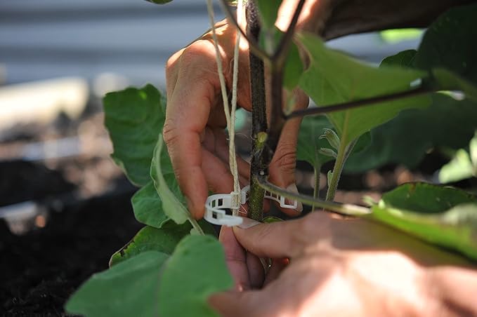 Seattle Urban Farm Company - Freyr Trellis - Vegetable Garden Trellis for Tomatoes Cucumbers Beans Peas and More