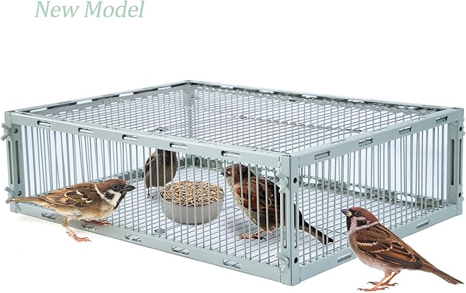 Bird Trap Cage with Escape-Proof Bird Traps for Small Birds Live Sparrow Trap Portable Easy Assembly and Unharmful.Made of lron with Anti-Rust Paint A3