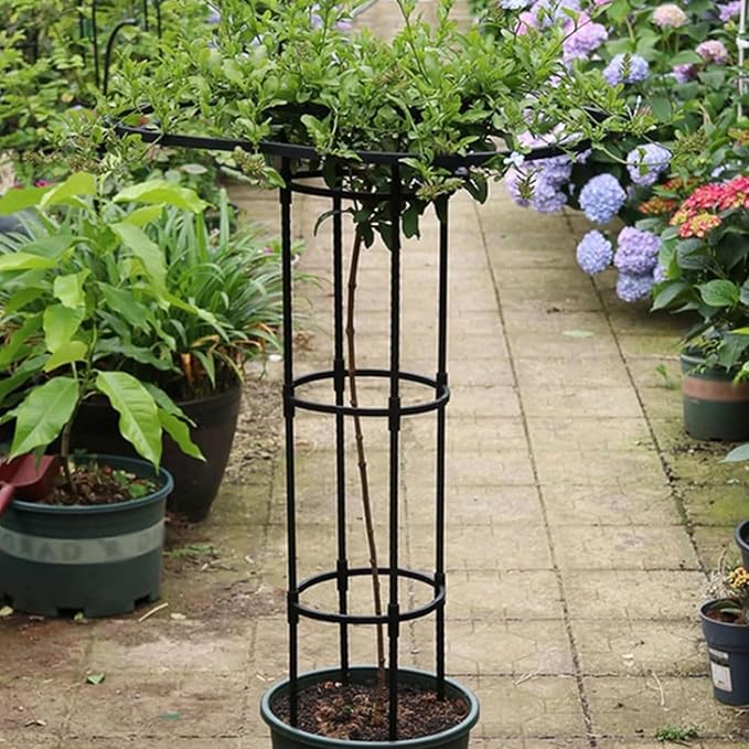 Vertical Umbrella Trellis for Climbing Plants and Flowers Rustproof Vertical Garden Trellis Wisteria Trellis Outdoor Flower Support Cage Climbing Stand Rack for Vines Rose(White180CM/70.9in)