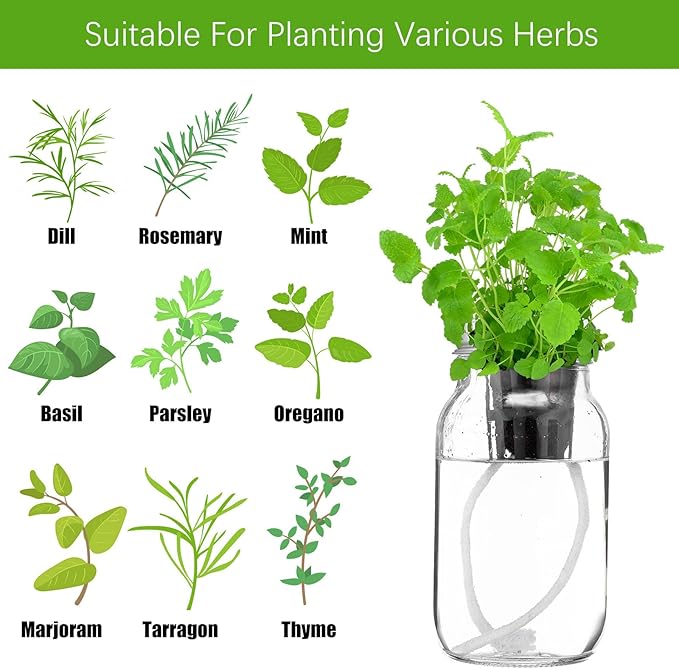 6 Set Hydroponic Mason Garden Jar Kit Self Watering Herb Hydroponic Planter Starter Kit with Net Pot Garden Flower Plant Growing Gift for Indoor Herbs Windowsill Gardening