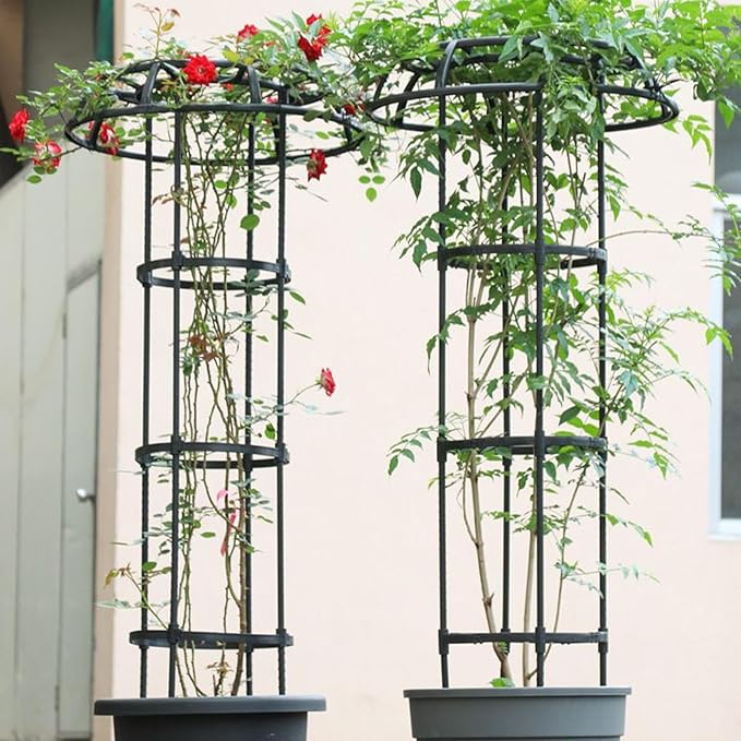 Garden Trellis for Climbing Plants Mushroom Top Round Trellis Vegetable Support Frame Sturdy Vine Plant Holder Outdoor Garden Accessory for Bean Cucumber Zucchini Grape Rose Clematis Flowers