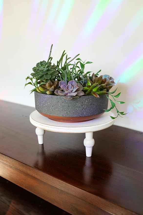 The HC Companies 8 Inch Round Plastic Succulent Capri Bowl Decorative Indoor Flower Succulent Planter Pot with Drain Plug Hole Faux Concrete Color with Copper Bottom Color (2 Pack)