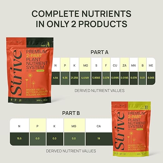 Strive Fertilizer Part B Package - Veg + Bloom General Hydroponic Nutrients - Premium Indoor Outdoor and Soil Growing Plant Food - Enhancer - Booster for Vegetables Succulents Flowers &amp More
