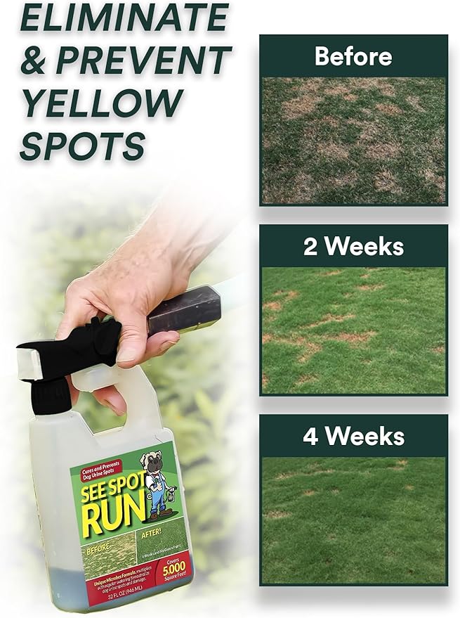 See Spot Run Lawn Protection Concentrate – 32 fl oz – Covers 5000 Sq Ft – Hose-End Attachment – Grass &amp Lawn Saver &amp Supports Healthy Soil – Safe for Pets