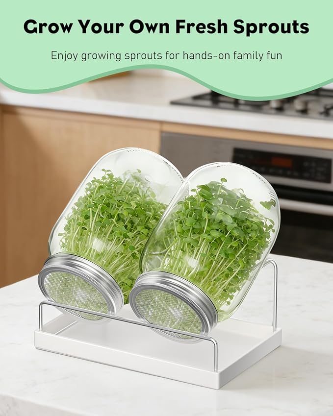 Pawfly Sprouting Kit Wide Mouth 1 Quart (1000 mL) Mason Jars Sprouting Jar Kit with Stainless Steel Mesh Sprouting Lids Sprouts Growing Kit Seed Sprouter for Broccoli Mung Bean &amp Alfalfa