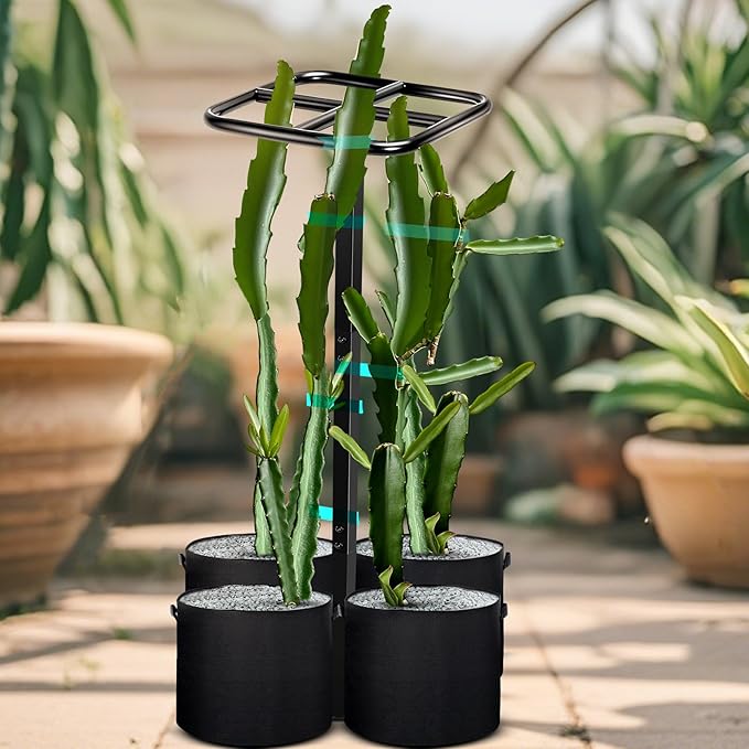 8 Pcs 12 x 48 Inch Dragon Fruit Plant Trellis with 20 Gallon Grow Bags and Wide Stretch Ties for Vertical Gardening Dragonfruit and Vining Plants