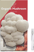 inbloom Organic Lion's Mane Mushroom Growing Kit with Spray Harvest Fresh Mushrooms at Home Beginner Friendly &amp Easy to Use Unique Gardening Gift for Holiday Handmade in New Jersey USA