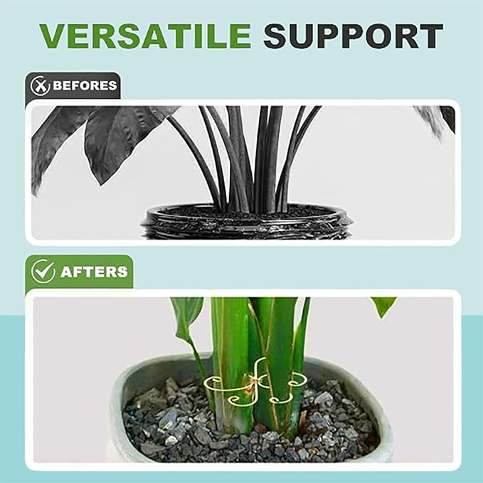 Plant Stem Support Set Reusable Plastic Climbing Plant Supports Plants Trellis Plant Support for Indoor Plants Upgrade Plastic Reusable Plant Stabilizer Indoor Plants Accessories (Heart 12pcs)
