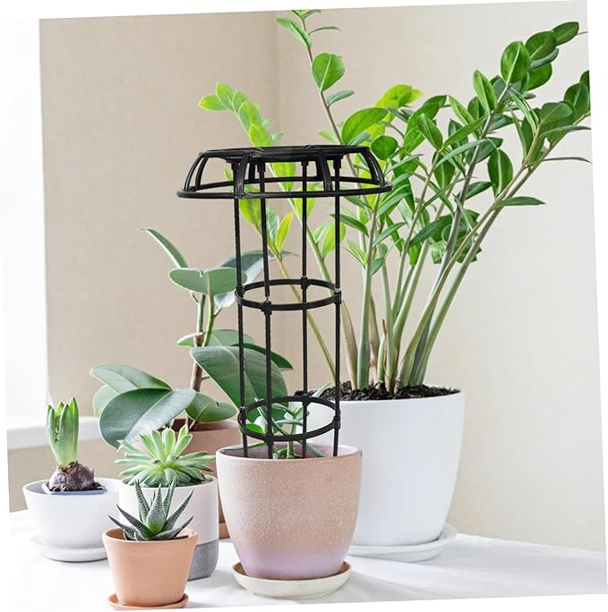 Plant Support Rack Garden Trellis for Climbing Plants Polished No Burrs