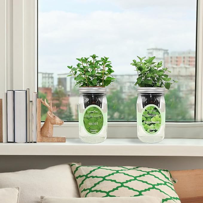 2-Pack Hydroponic Mason Jar Herb Garden Kit Indoor Herb Garden Self-Watering Starter Kit New Christmas Gift for Mom (MintPeppermint)