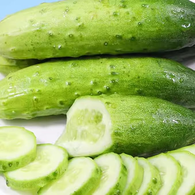 2 Green Cucumber Plants Live 4 Inches Pot Live Cucumber Plants from 3 to 5 Inches Long Cucumber Starter Plants Cucumber Live Plants for Garden