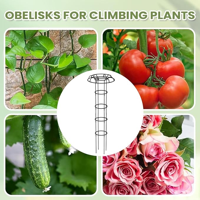 Umbrella Plant Support - Outdoor Vertical Frame for Climbing Vegetation | Weather Resistant Structure Elegant Garden Accent Stable Ground Holder &amp Compact Growing Aid for Pea Bean Tomato Clemati