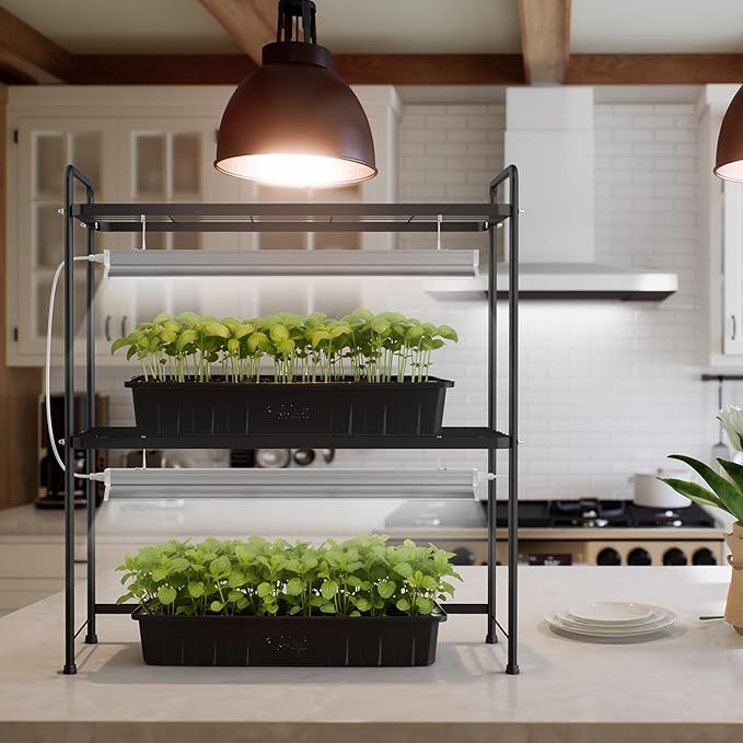 SOLIGT Tabletop 2-Tier Plant Stand Shelf with Grow Lights 36W Full Spectrum 5000K Timer &amp Dimmable Lights Indoor Herb Garden Seed Starting Plant Rack Organizer for Desk &amp Kitchen Counter