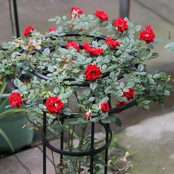 Garden Trellis Plant Stand Trellis Garden Trellis for Climbing Plants Outdoor Mushroom Top Design Plant Stand Plant Trellis Support Cage for Climbing Vine Rose Black L