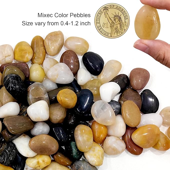 5 Gallon Pots with 20lbs Rocks 12 Inch Plastic Nursery Pots with Drainage Holes Round Sturdy Garden Pots with Stones Deep Nursery Pots for Plants Gardening Gifts for Women (10-Pack Black)