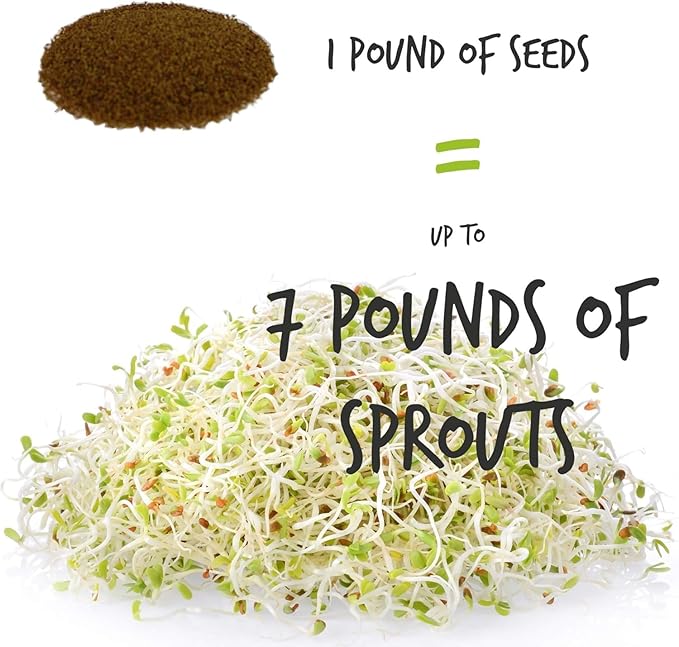 Handy Pantry Organic Sprouting Seed Assortments - Microgreens Sprout Seeds Variety Pack (12 Pack - Premeasured)