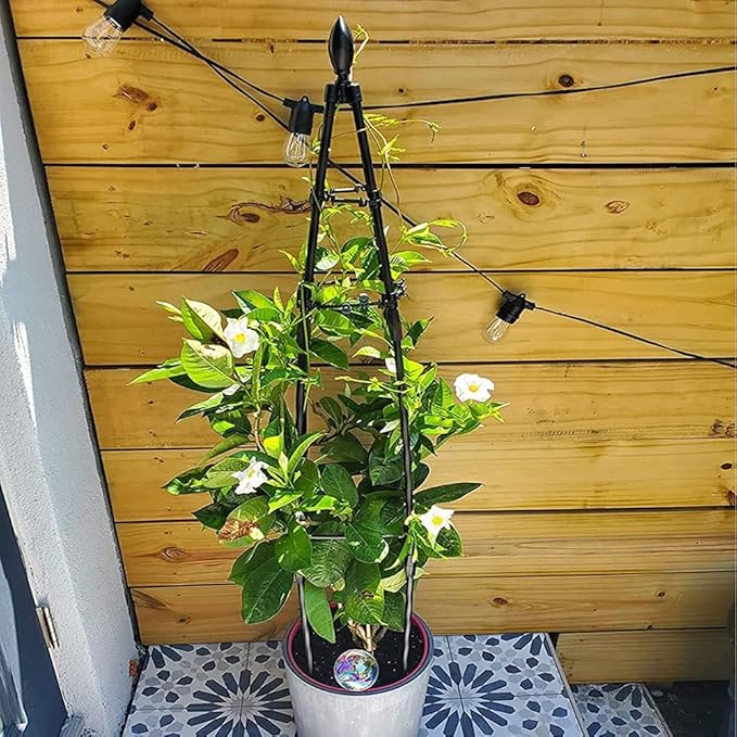 RADAAB Obelisk Trellis for Climbing PlantsMetal Garden Trellis 31.5in 47in 63inPlant Support for Vines and Flowers StandsBlack Plant Tower MetalobeliskRustproof Garden Obelisk (Size : 160cm/63in)