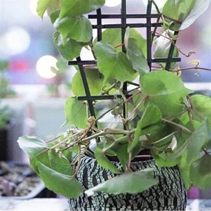 Liudan Plant Holder 2Pcs/Set Stackable Combined Climbing Grid Grid Potted Plant Support Garden Accessories Plant Trellis Garden Plant Support