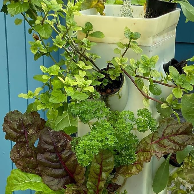 Hydroponics Growing System 24 Pods Vertical Hydroponics Tower Smart Garden Planter Germination Kit Aeroponics Growing Kit with Hydrating Pump Adapter Net Pots T